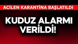 Kuduz alarmı! Bölge acil olarak karantinaya alındı