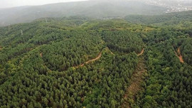 Doğanın gizli sakini Sinop'ta