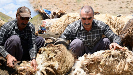 Şırnak'ta beklenen mesai başladı! Bu sene günde 2.000 TL de üstü kazanacaklar