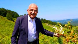 Ordu'da görürseniz sakın dokunmayın! 699  bin TL cezası var