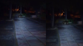 Bolu'da çocuk parkında gece ortaya çıktı! Görenlerin tüyleri diken diken oldu
