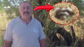 Sivas’ta yol çalışması yapan vatandaş fark etti! Sadece 1 tane vardı, yanına doğru eğilince gördü