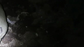 Tunceli'de gece kamerasına takıldılar! 2'si aynı anda görüldü