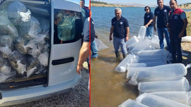 Burdur'da 1000'lercesi poşetler açılarak doğaya bırakıldı! 2 yıl boyunca vakit var