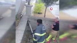 Afyonkarahisar'da evin bahçesinde çıktı! Tam 1,5 metre boyundaydı