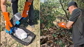Bursa’da doğada 3 tanesi birden yaralı halde bulundu! Acilen tedaviye alındılar
