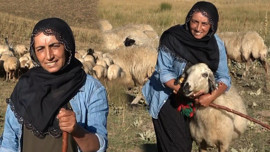Tunceli'de 100'den fazla koyuna çobanlık yapıyordu! Kadın çoban 1 sonraki isteğini söyledi