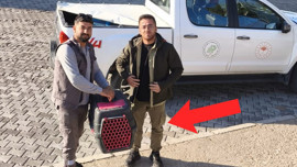 Konya'da belediye işçisi arazide fark etti! 1 adım atacak hali bile yoktu ama gözlerine bakınca ürktü