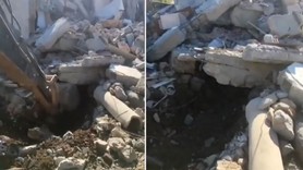 Enkaz altından 11 gün sonra meleyerek çıktılar, videoyu gören herkes beğeni yağdırdı