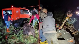 Gecenin bir vakti görmedi… Bir anda kendini bataklıkta buldu … Hemen ekipler müdahale etti