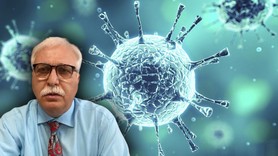 Çin, Hindistan derken şimdi de Avrupa'ya sıçradı! 'Gizemli virüs' Türkiye'yi etkiler mi? Prof. Dr. Tevfik Özlü’den açıklama
