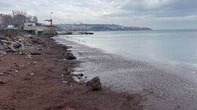 Tekirdağ sahili kırmızı yosunla kaplandı