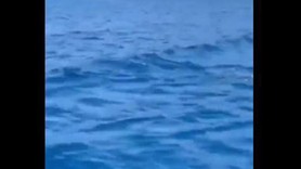 Bodrum açıklarında bir anda kameraların açısına giriş yaptı. Vatandaşlar hemen kayda aldı