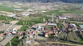 Antalya'dan 1000'lercesi patır patır Türkiye'ye giriş yaptı. Aralarından 1 tane hayvan yine aynı hareketi yapınca cemaat dikkat kesildi