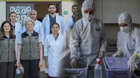 Bursa'da 440 bin 335 tanesi teker teker doğaya salındı. Dün 24 bin tanesi de bırakıldı, 6 bin tanesi daha bırakılacak. Doğanın her yerinde olacaklar