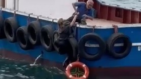 Kartal'da korku dolu anlar! Vapurdan denize düşen kadını balıkçılar kurtardı