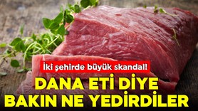 Gıdada bir skandal daha! 2 ilde at ve eşek eti yedirdiler!