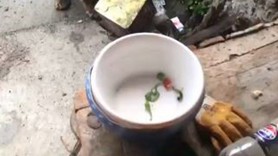Artvin’de vatandaşlara korku dolu anlar yaşatan hayvan evin kapısına kadar geldi. Çöpleri karıştırırken kameraya yakalandı