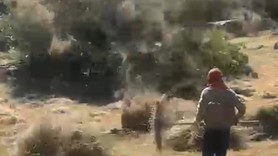 Bingöl'de bir anda çıkan hortum çitçilerin topladığı otları gökyüzüne kadar çıkarttı