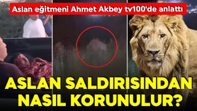 Antalya'da aslan paniği! Peki aslan saldırısından nasıl korunulur? Aslan eğitmeni Ahmet Akbey tv100'de anlattı