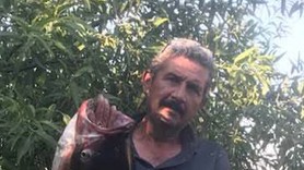 Edirne'de Meriç Nehri'nde balıkçının oltasına takıldı. 1 metre 20 santimetre boyuyla çok nadirdi