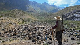 Hakkari Yüksekova’da 3 bin 400 metrelik yaylada zorlu sağım mesaisi sürüyor