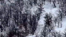 Elazığ'da heyecanlandıran anlar "Ordu gibi geliyorlar"