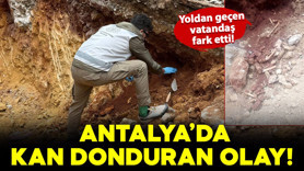 Antalya'da korkunç olay! Altyapı çalışmasında insan kemikleri bulundu