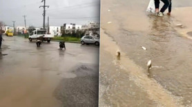 Şiddetli yağış sonrası hayrete düşüren manzara! Asfalttan balık topladılar