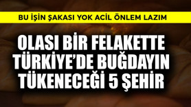 Olası bir felakette Türkiye'de buğdayın tükeneceği 5 şehir! Bu işin şakası yok acil önlem lazım