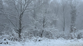 Çanakkale'nin yüksek kesimlerinde kar etkili oluyor