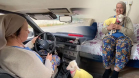 Annesi reddetti, o sahiplendi! Kuzu ‘Naciye’ bebek beziyle parka gidiyor!