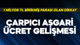 1 milyon TL'si olanlar dikkat! Çarpıcı asgari ücret gelişmesi