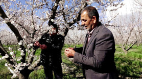 Bir yıl aradan sonra hasat umudu: Kayseri'de 13 bin ton rekolte hedefi