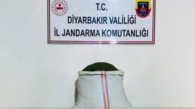 Diyarbakır'da narkotik operasyonu: 22 kilo esrar ele geçirildi