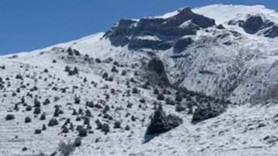 Konya'da Nisan ayında doğada büyük sürpriz