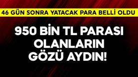 950 bin TL parası olanların gözü aydın! 46 gün sonra yatacak para belli oldu