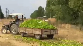 O video sosyal medyayı sallamıştı! Ticaret Bakanlığı'ndan açıklama geldi: Suç duyurusunda bulunuldu