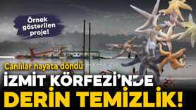 İzmit Körfezi'nde derin temizlik! Deniz canlıları hayata geri döndü