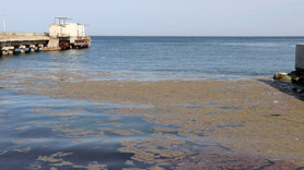 Tekirdağ sahilinde korkutan görüntü! Deniz turuncu renge büründü