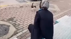 Böyle vicdansızlık görülmedi! Yanına çağırdığı kedinin yüzüne yağ çözücü sprey sıktı