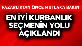 En iyi kurbanlık seçmenin yolu açıklandı! Pazarlıktan önce mutlaka bakın
