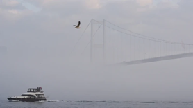 İstanbul sis altında: Boğaz trafiğe kapatıldı
