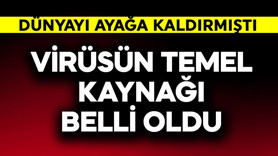 Dünyayı ayağa kaldıran yeni virüsün temel kaynağı belli oldu