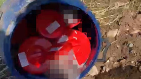 Tüyler ürperten olay! Plastik bidon içindeydiler: 21 cenin bulundu!