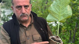 Gören telefona sarıldı! Yağmur ormanlarından Erzurum'a uzanan yolculuk: İlk defa böyle bir şey gördüm