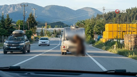 Bolu'da insanlık dışı görüntü kamerada! Canlı hayvanı kilometrelerce sürükledi! O hareketi cezasız kalmadı