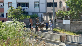İstanbul'da kaçak kurban kesenler affedilmedi! Ceza yağdı