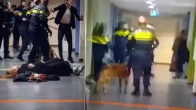 Hollanda'da polisten tepki çeken müdahale! Filistinli hamile kadını yerden yere vurdular! Dehşet anları kamerada