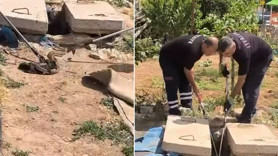 Mardin'de doğada kuyunun içinden çıktı! Ekipler yaklaşmaya korktu